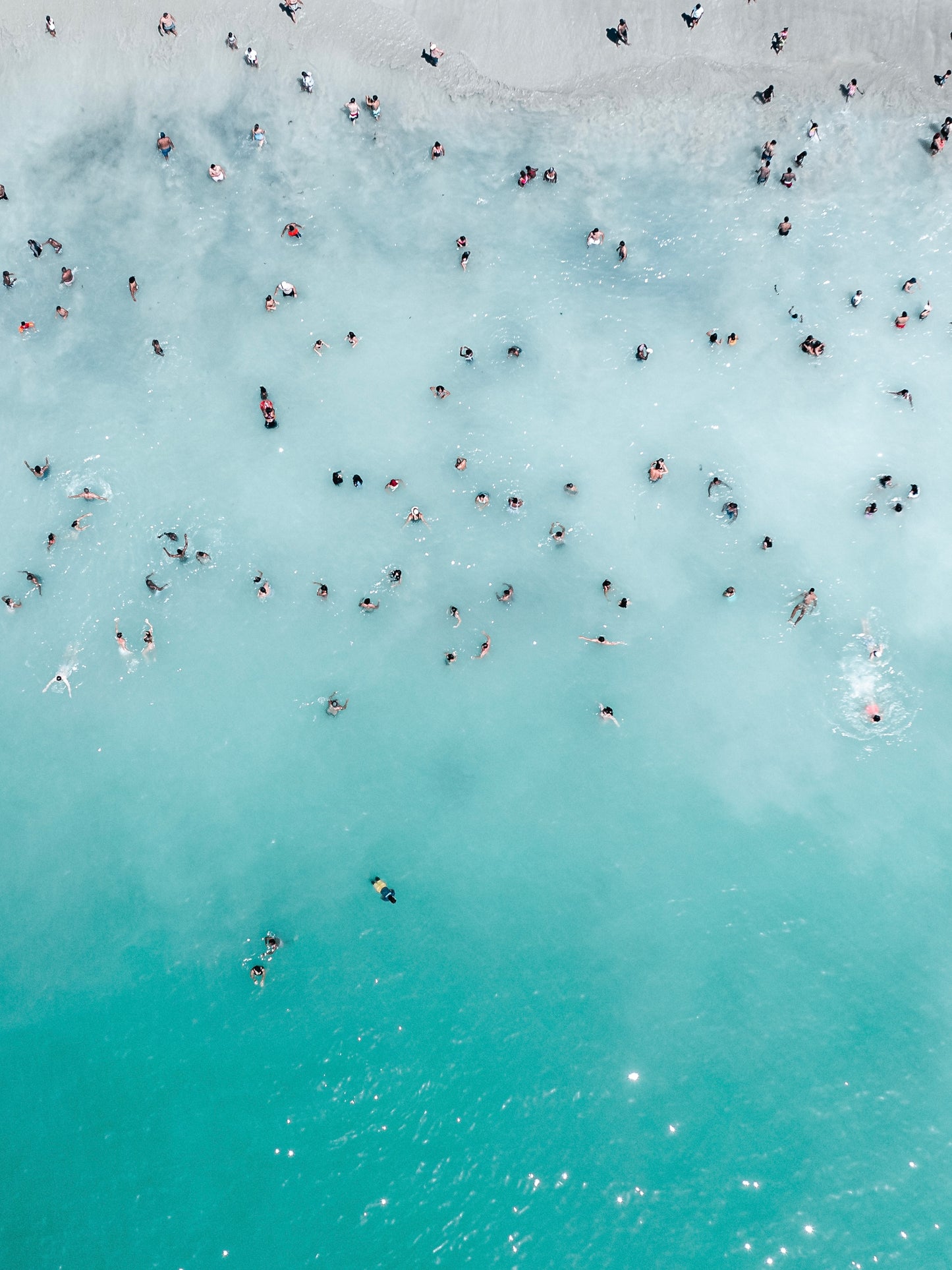 Ants In The Sea S1