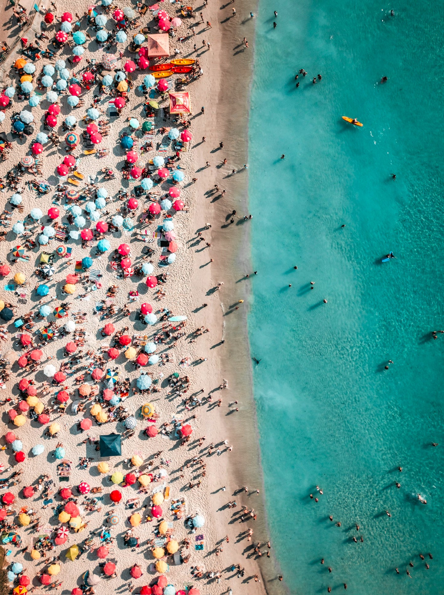 Ants On A Beach S2