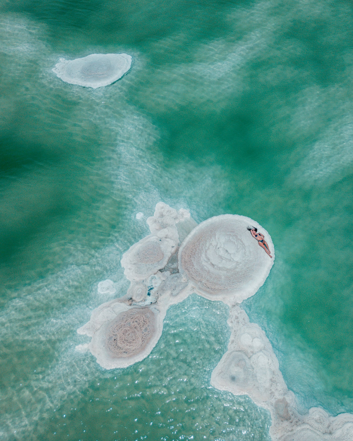 Salt Disc — Wild Ginga print