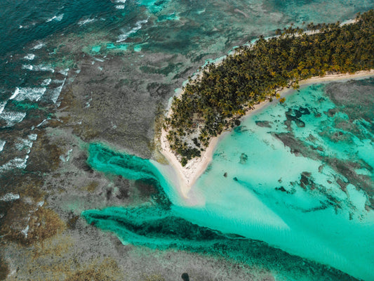 Island Tip — Wild Ginga print