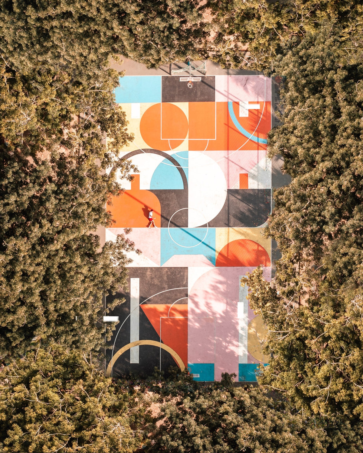 Court in the Canopy — Wild Ginga print