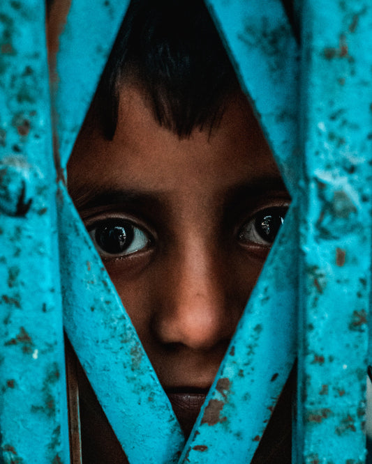 Through the Gate — Wild Ginga print