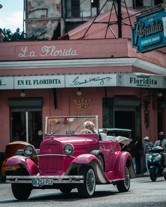Floridita Pink — Wild Ginga print