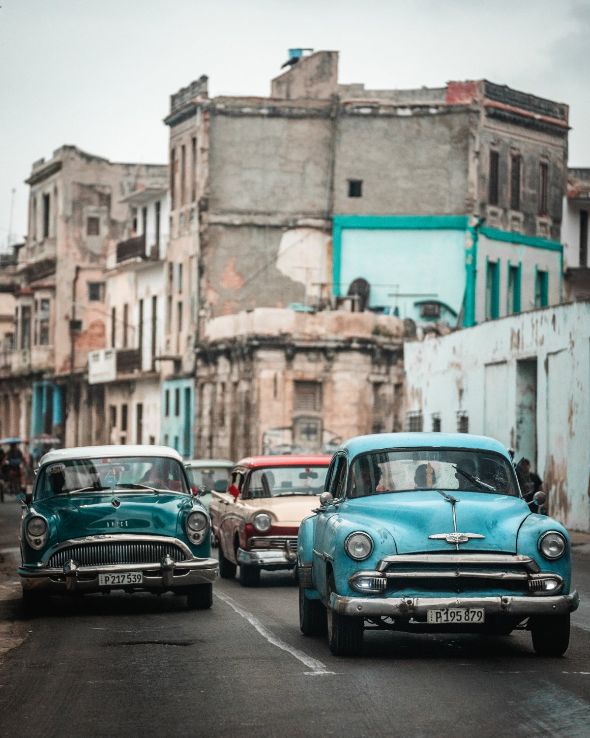 Havana Traffic — Wild Ginga print